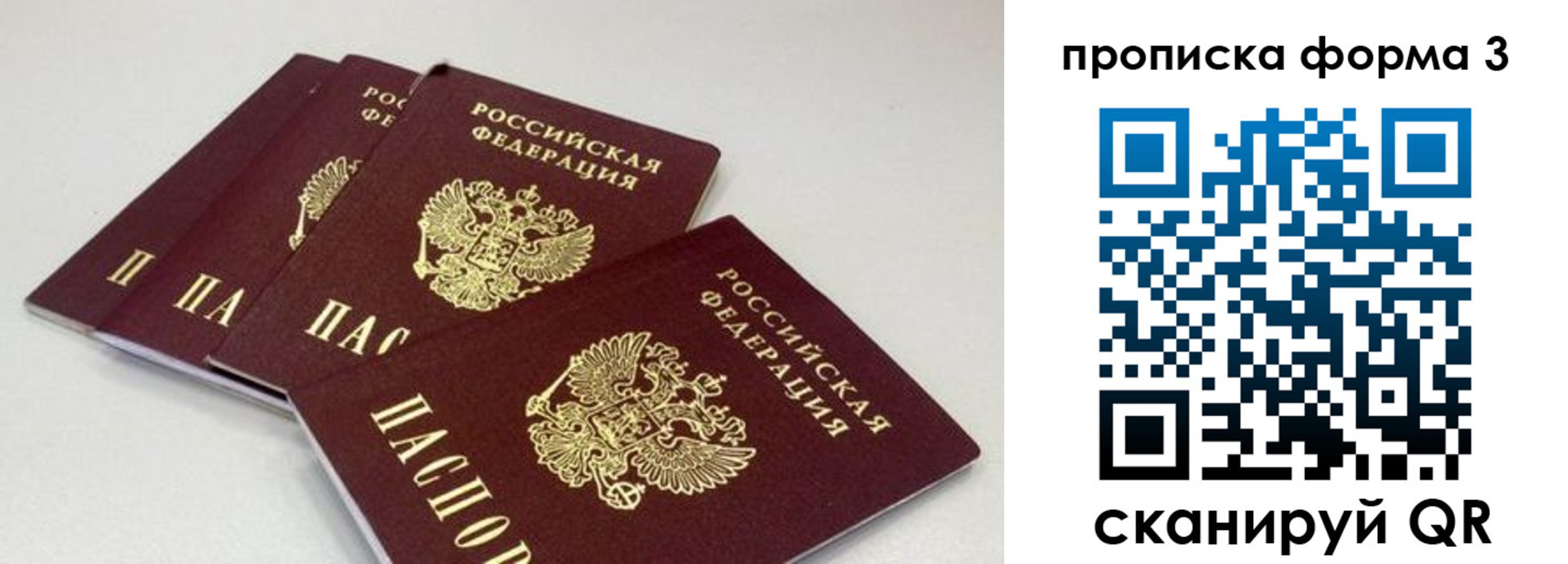 прописка в квартире в Советске